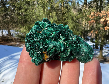 Silk Malachite Specimen #19 - Gem Realm 