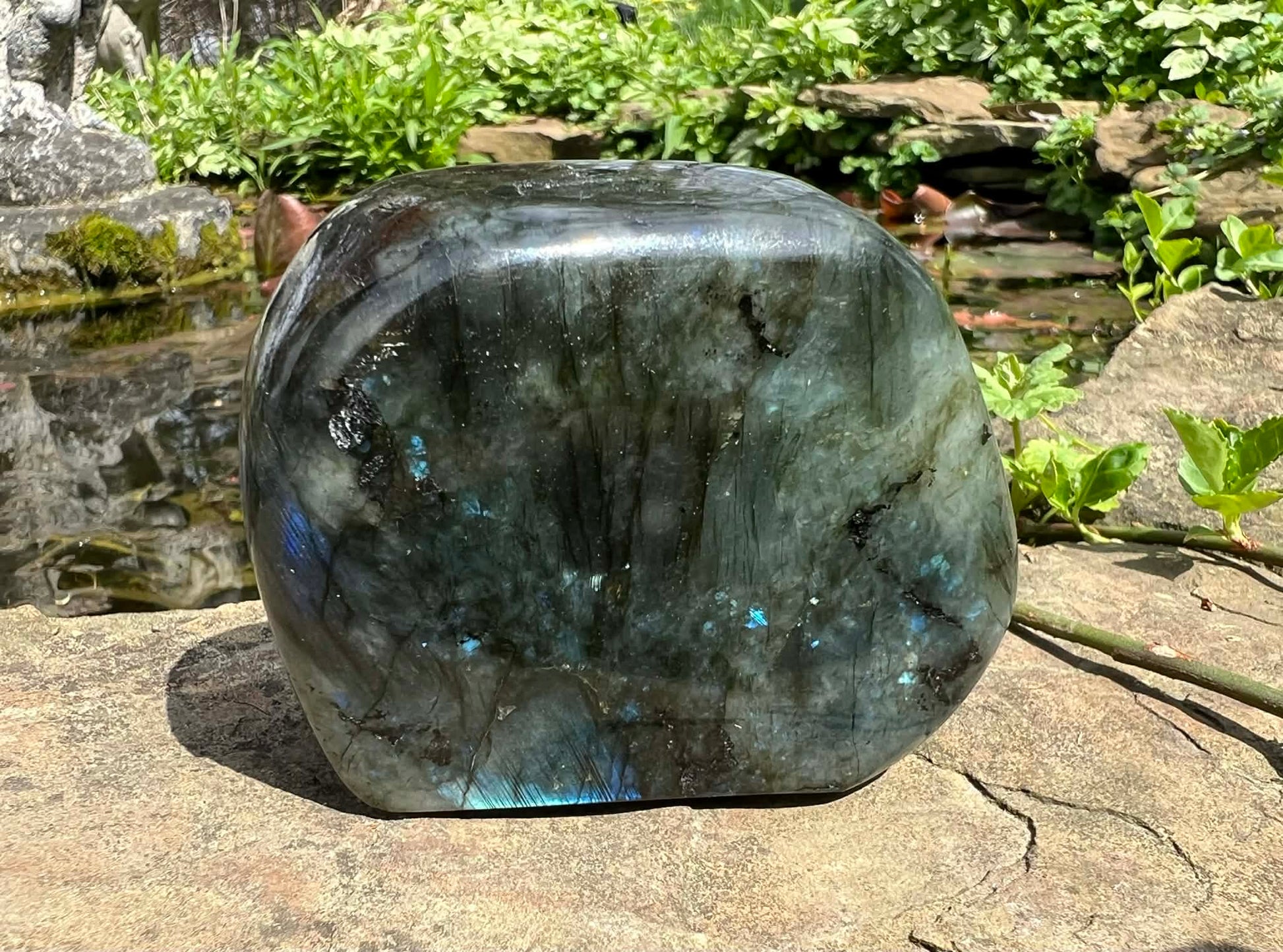 Labradorite Freeform - Gem Realm 