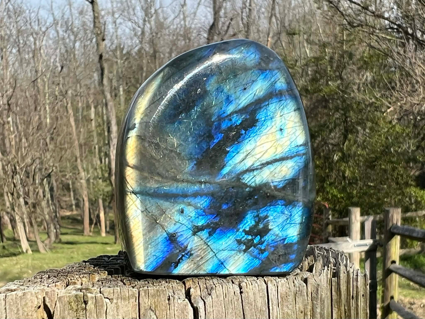 Labradorite Freeform - Gem Realm 