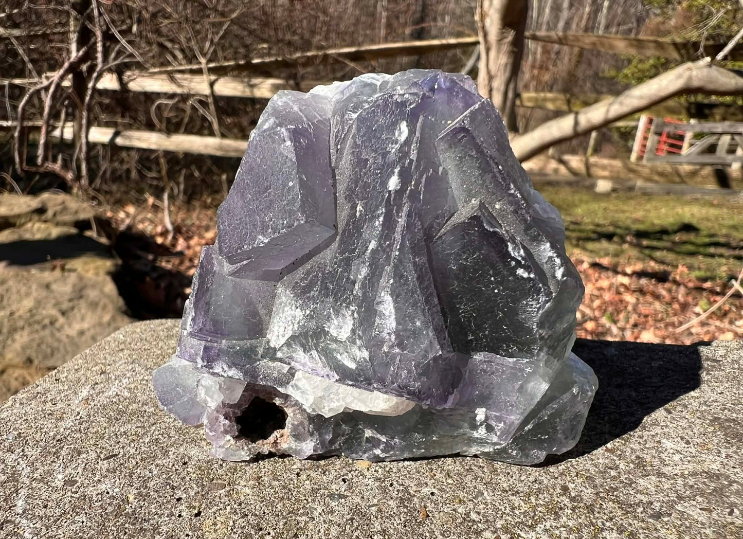 Rainbow Fluorite Specimen - Gem Realm 