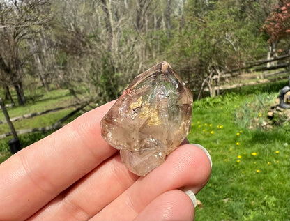 Smoky Elestial Quartz Specimen #10 - Gem Realm 