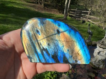 Labradorite Freeform - Gem Realm 