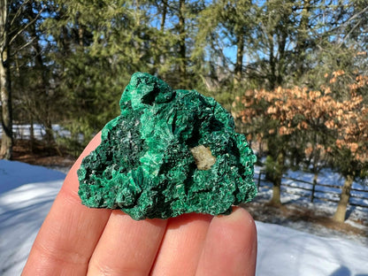 Silk Malachite Specimen #22 - Gem Realm 