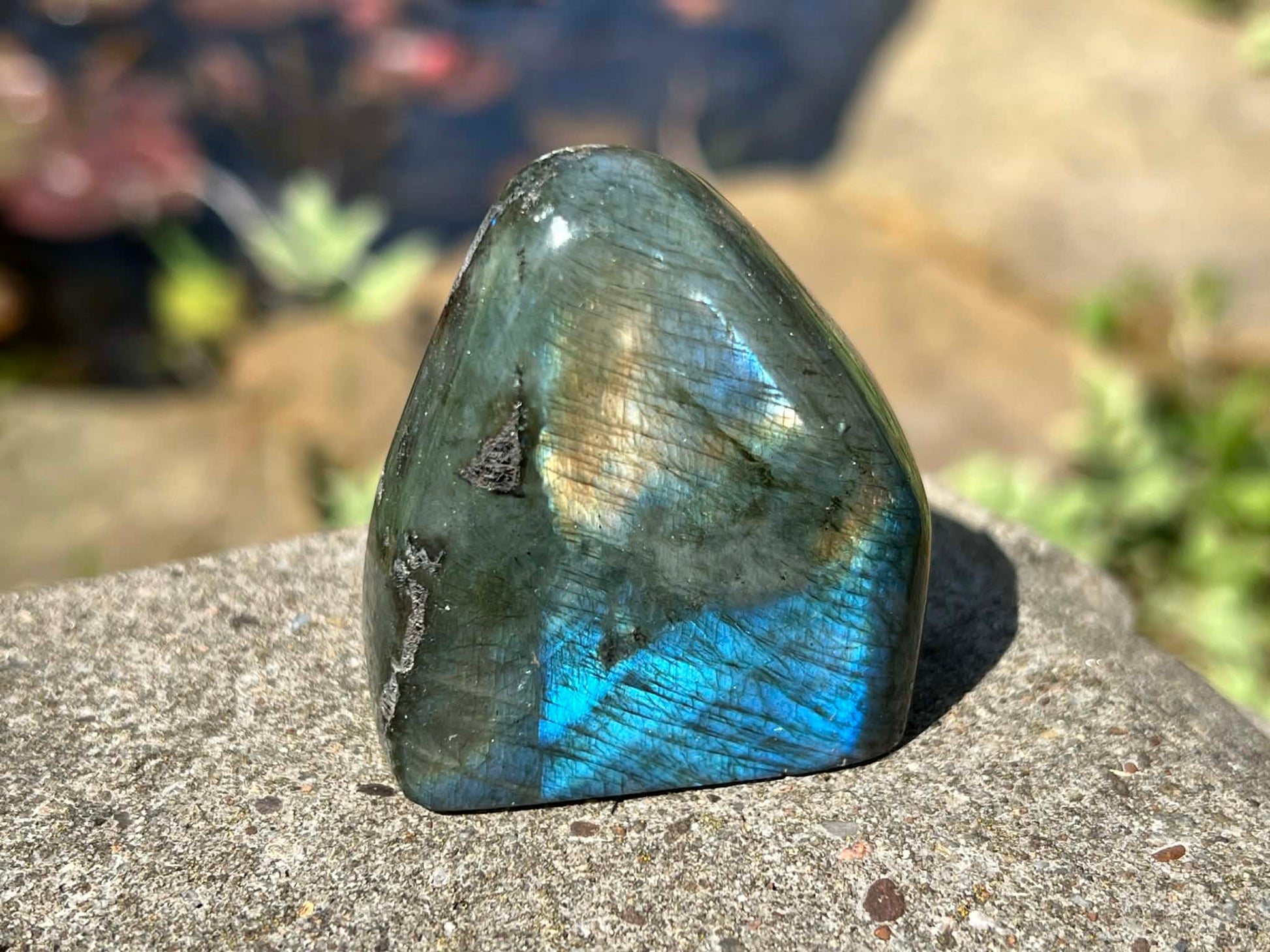 Labradorite Freeform - Mini - Gem Realm 