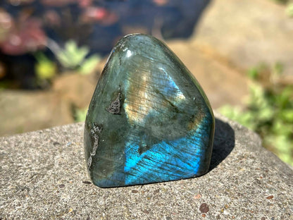 Labradorite Freeform - Mini - Gem Realm 