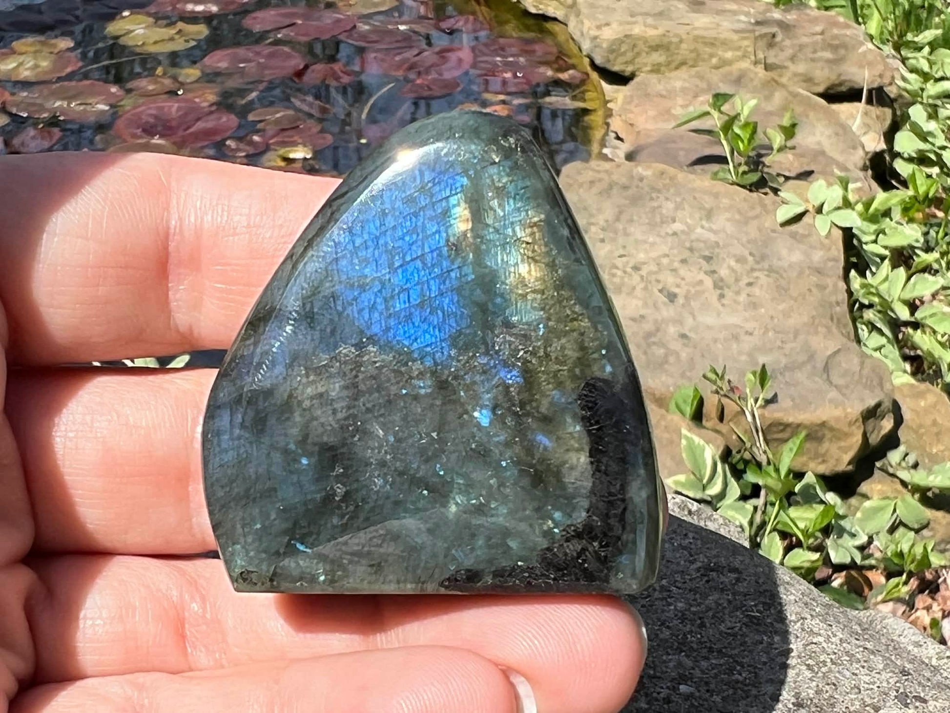 Labradorite Freeform - Mini - Gem Realm 