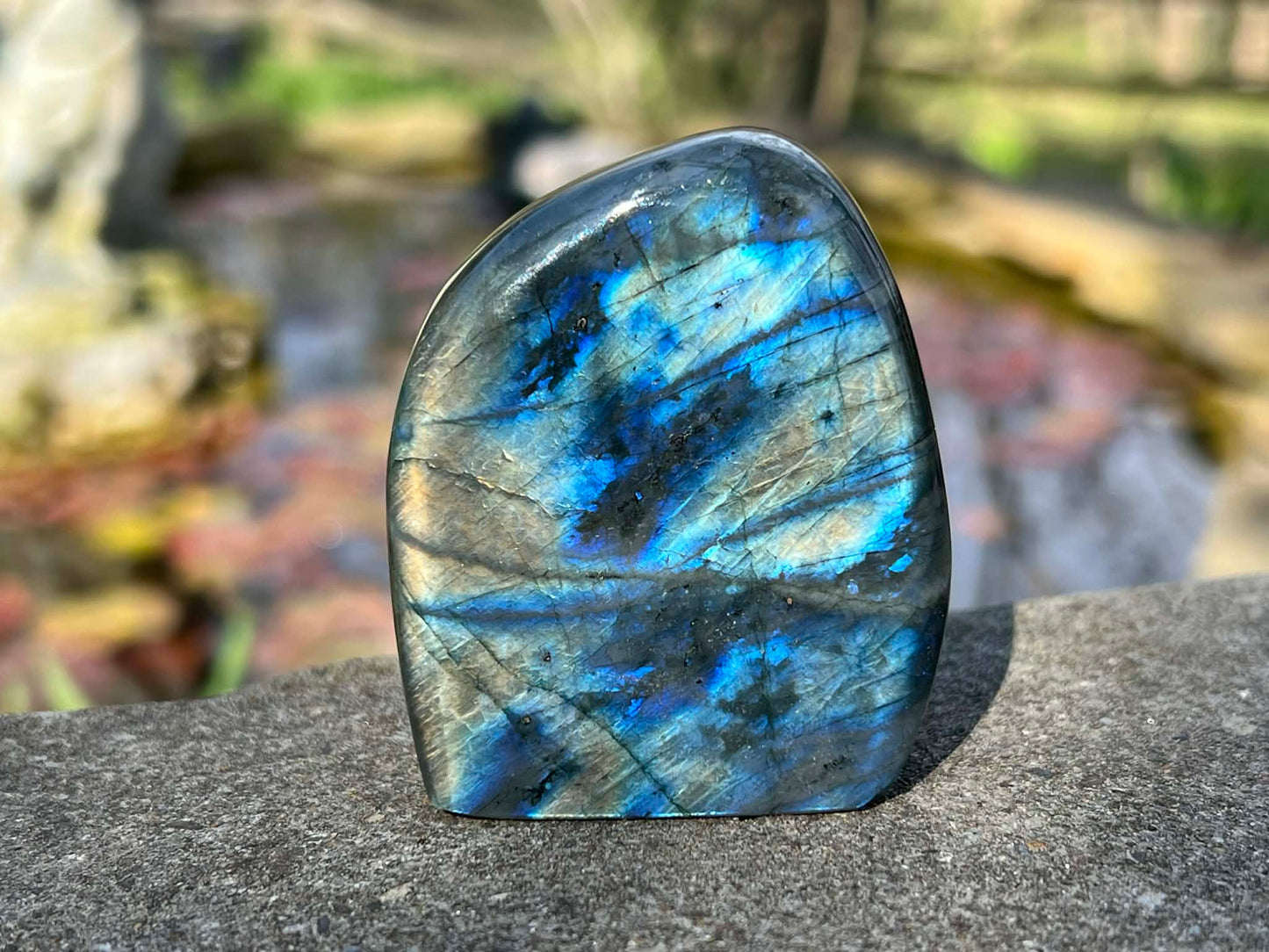 Labradorite Freeform - Gem Realm 