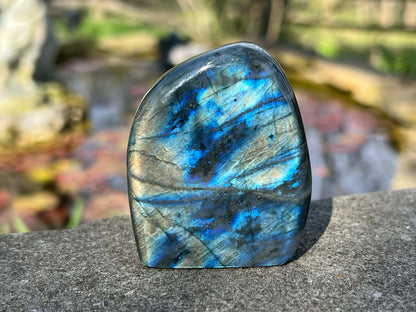 Labradorite Freeform - Gem Realm 