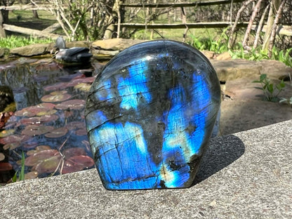 Labradorite Freeform - Mini - Gem Realm 
