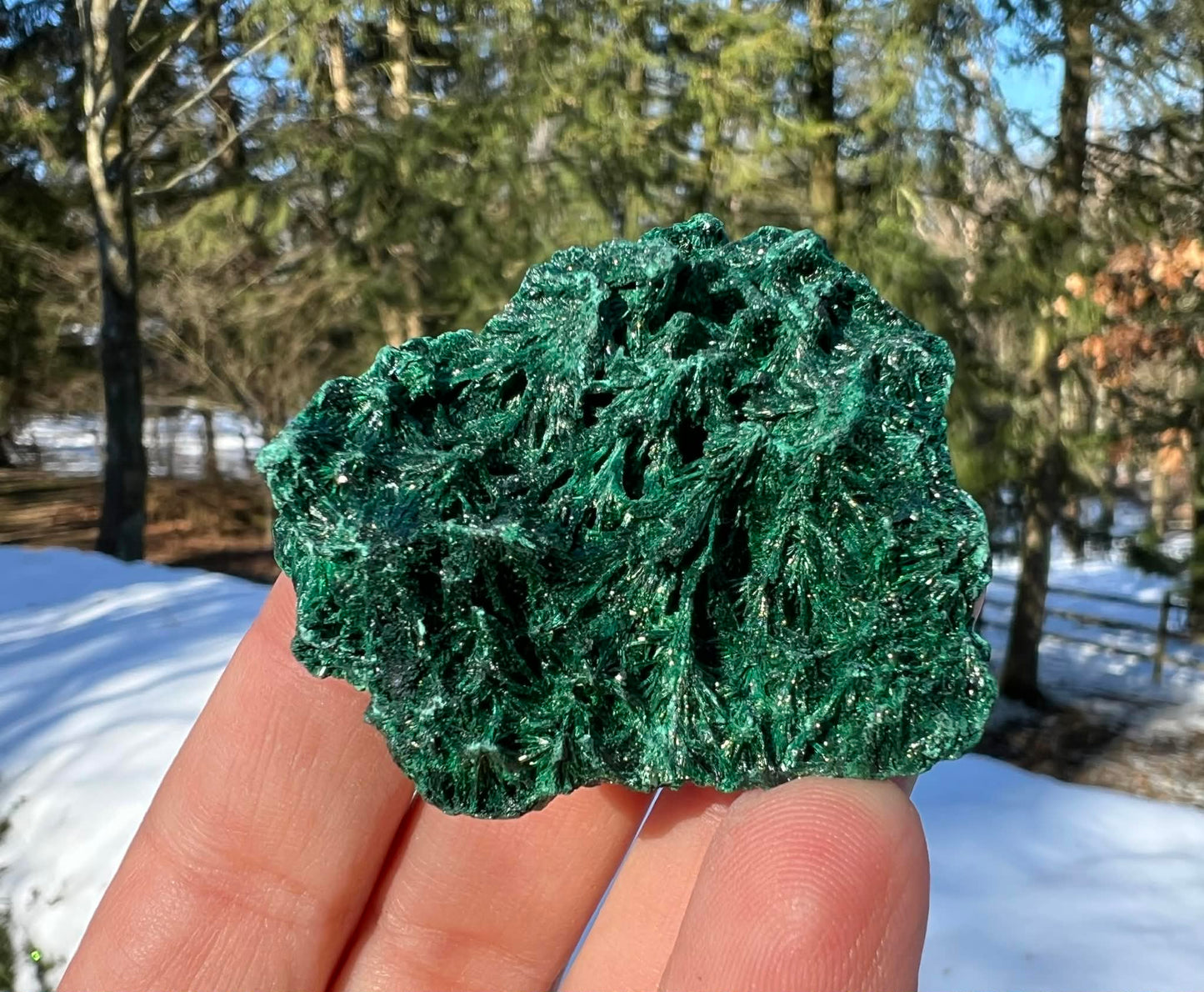 Silk Malachite Specimen #10 - Gem Realm 