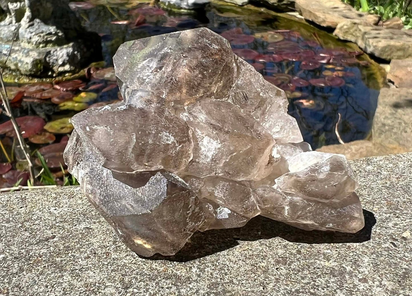 Smoky Elestial Quartz Specimen #9 - Gem Realm 