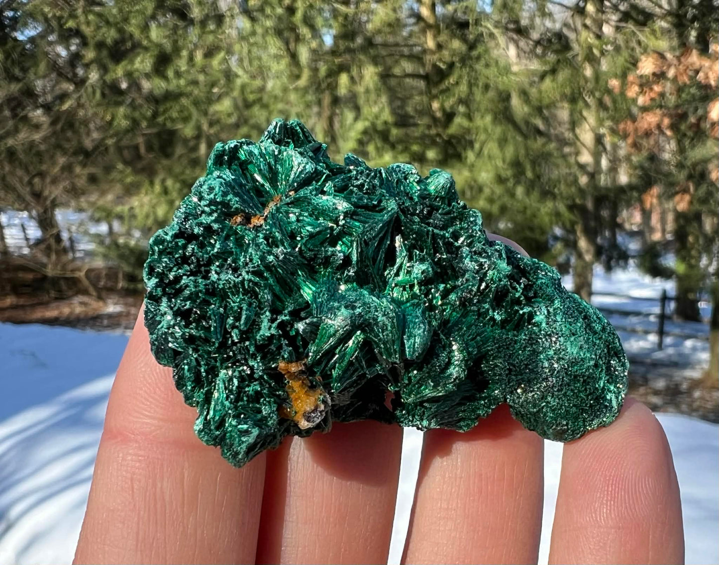 Silk Malachite Specimen #19 - Gem Realm 