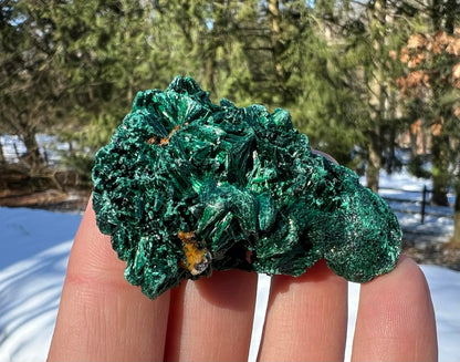 Silk Malachite Specimen #19 - Gem Realm 