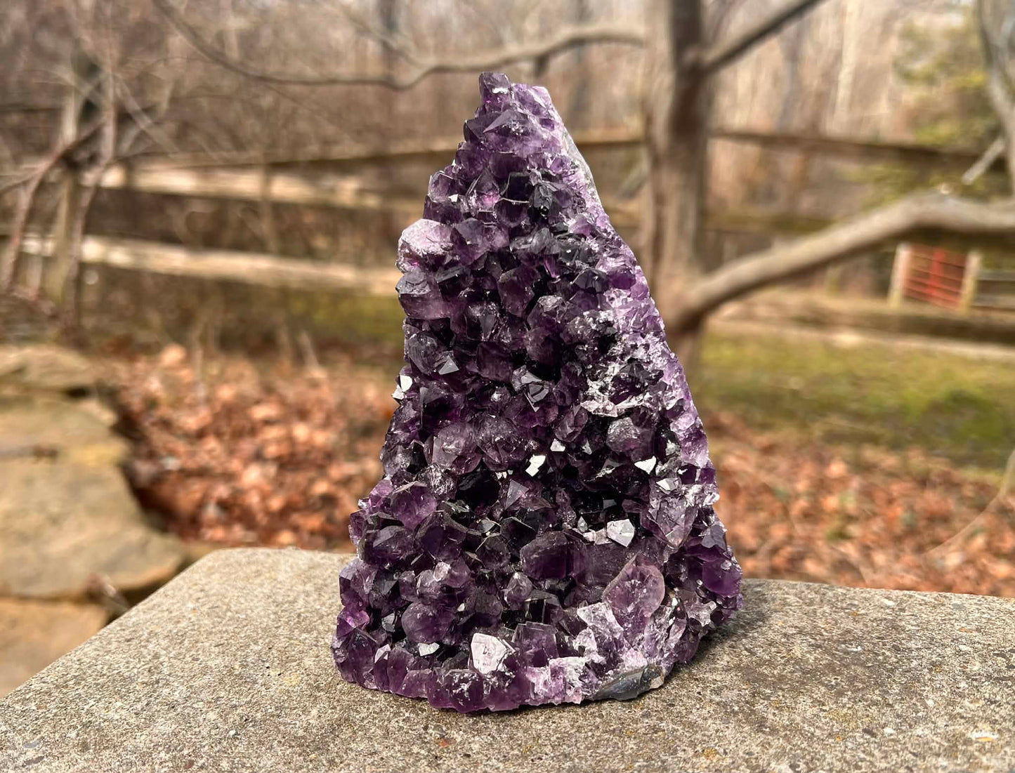 Amethyst Geode - Gem Realm 