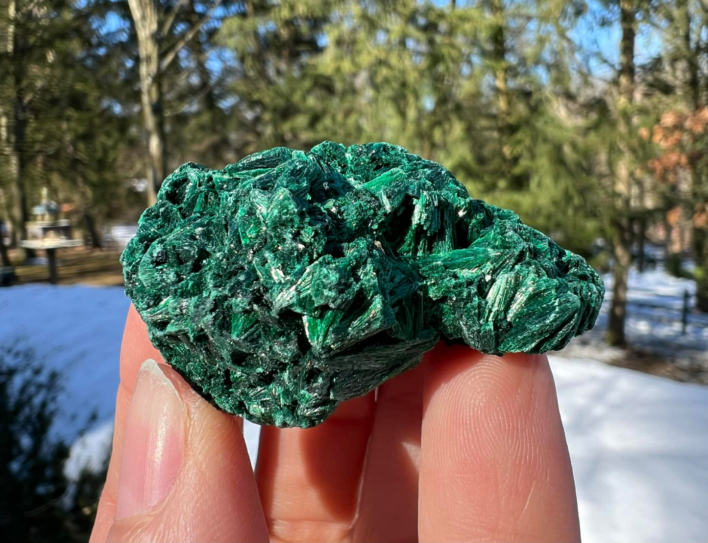 Silk Malachite Specimen #18 - Gem Realm 
