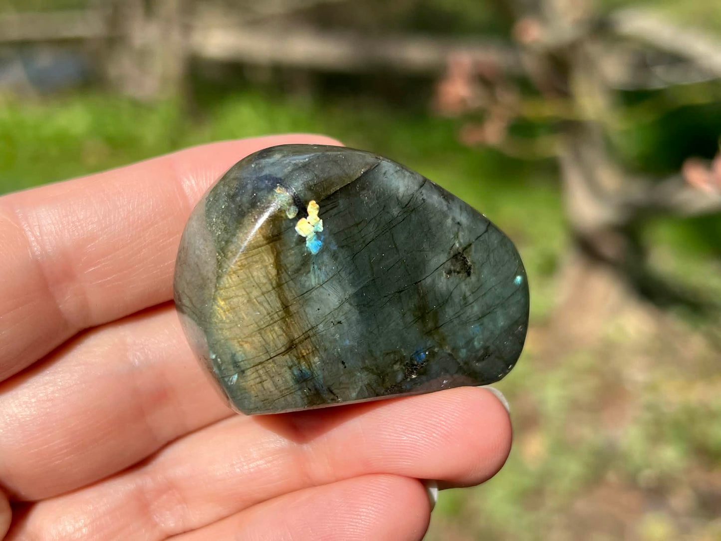 Labradorite Freeform - Mini - Gem Realm 