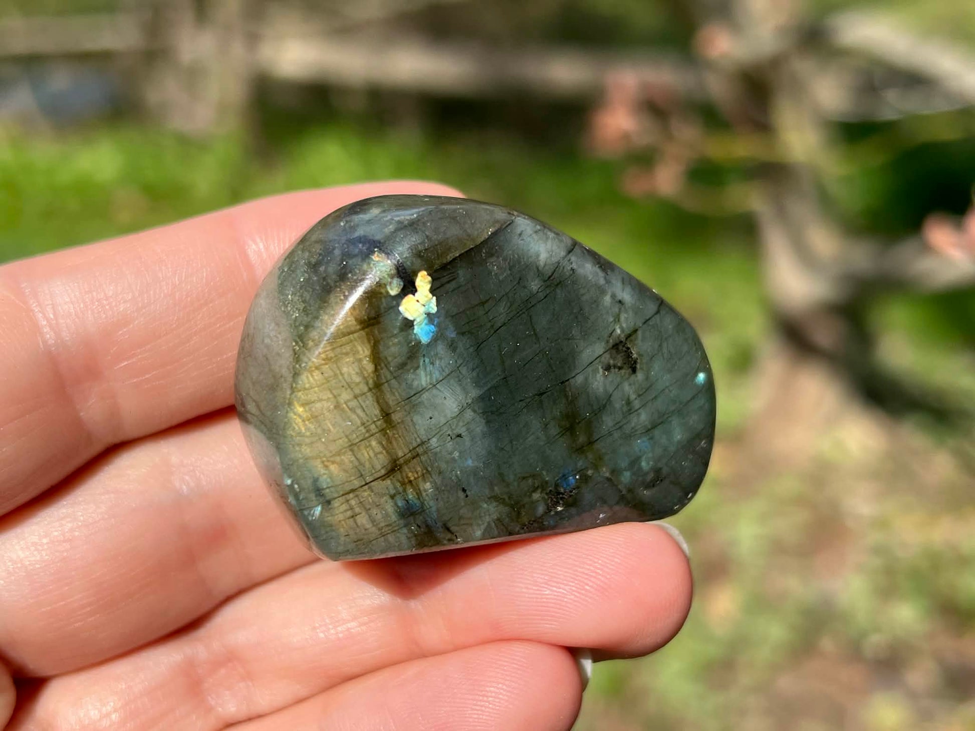 Labradorite Freeform - Mini - Gem Realm 