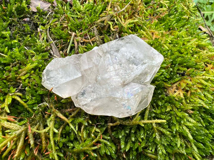 Smoky Elestial Quartz Specimen #11 - Gem Realm 