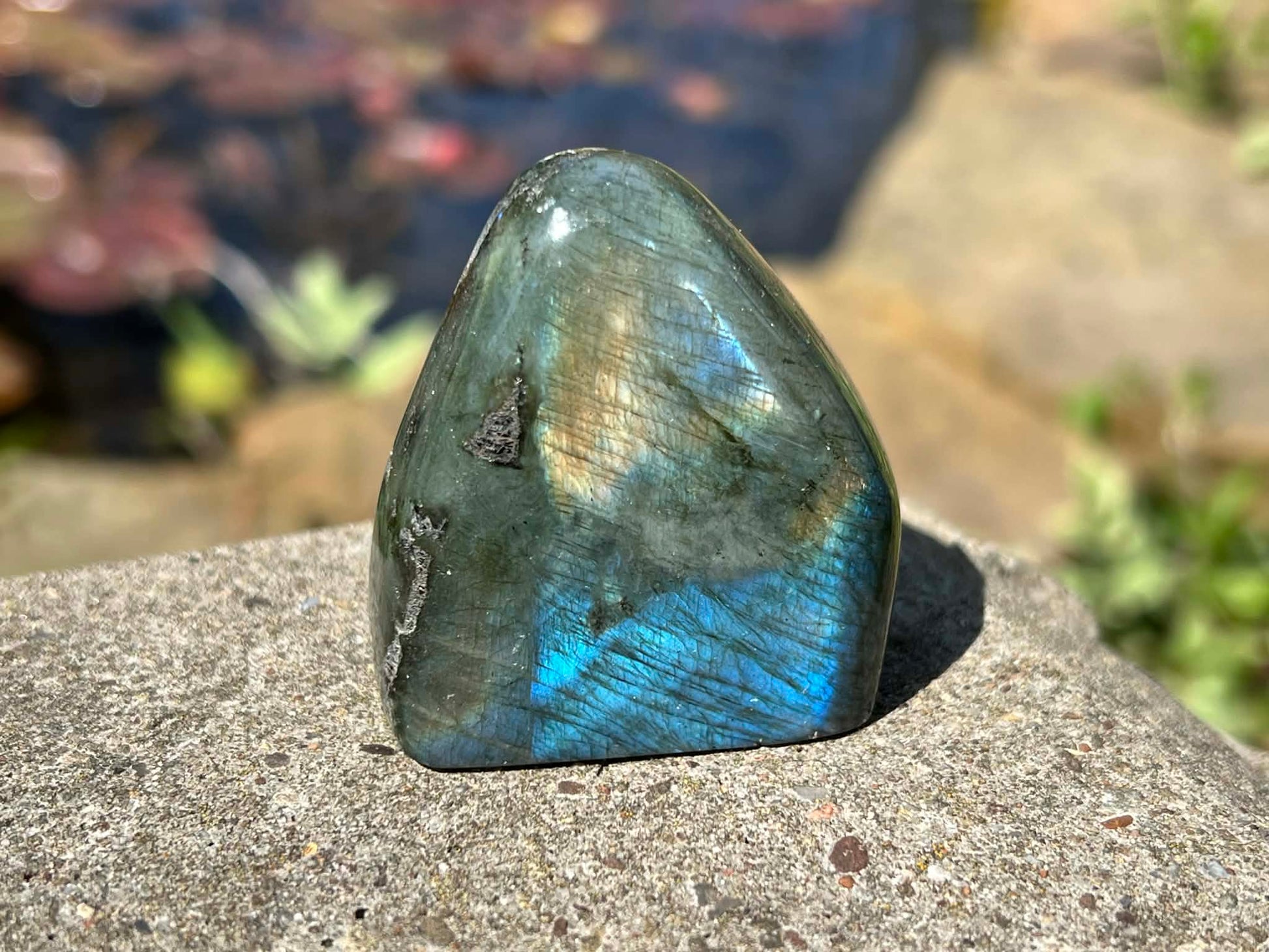 Labradorite Freeform - Mini - Gem Realm 