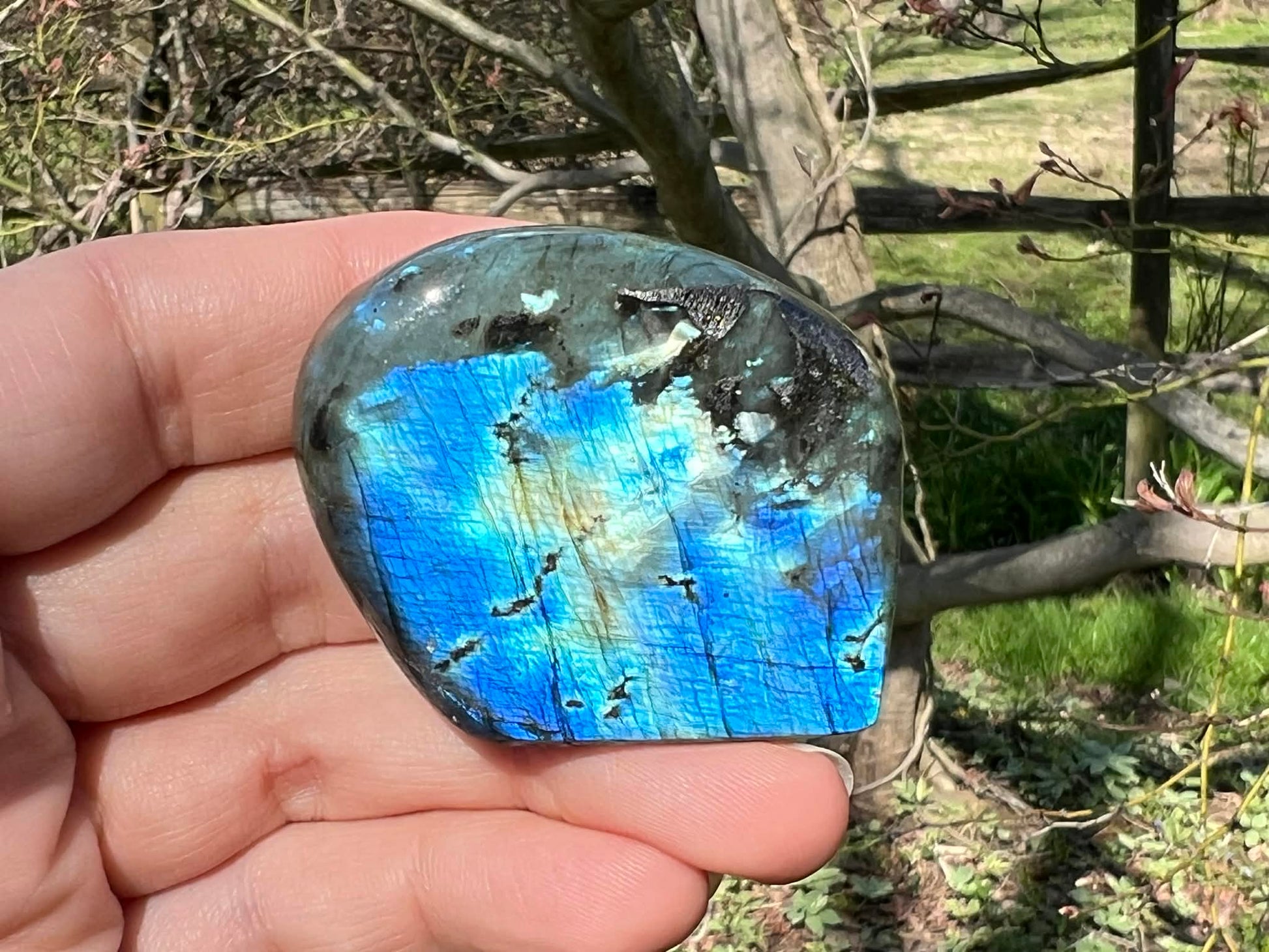 Labradorite Freeform - Mini - Gem Realm 