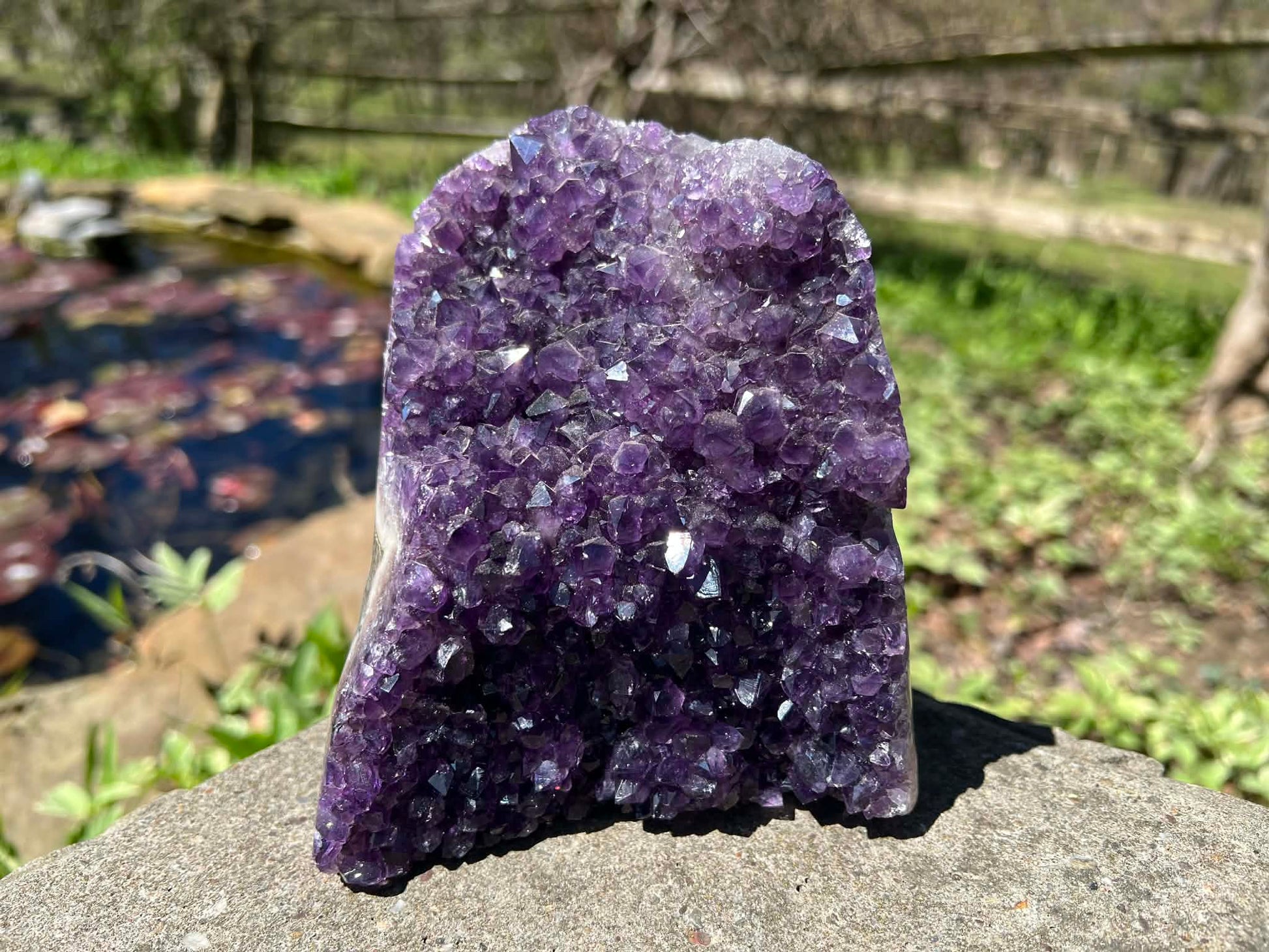 Amethyst Geode - Gem Realm 