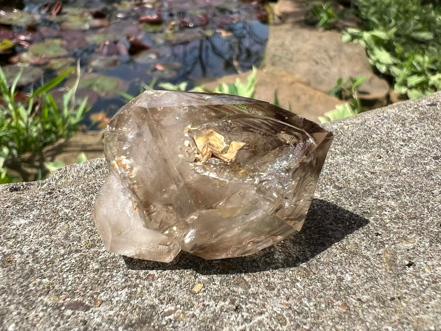 Smoky Elestial Quartz Specimen #10 - Gem Realm 