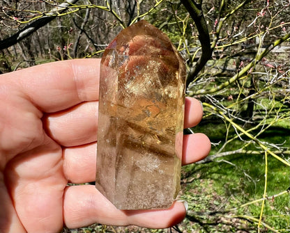 Citrine Tower ~ Smoky Citrine with Phantoms - Gem Realm 