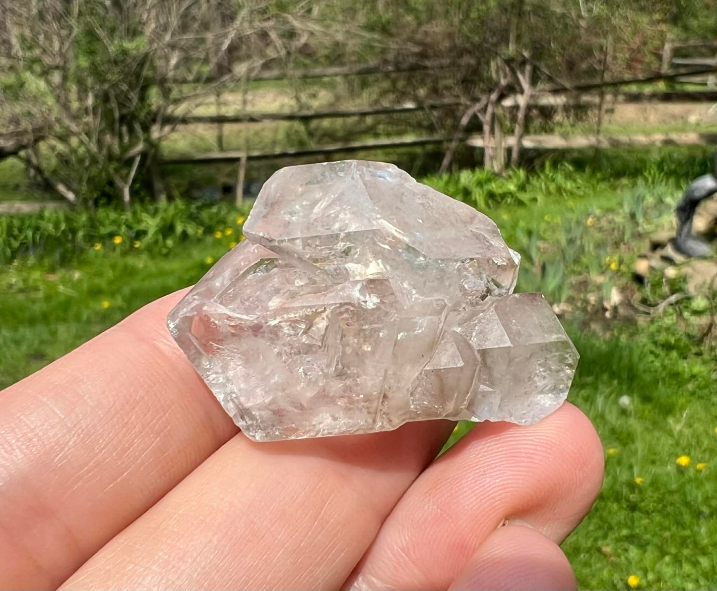 Smoky Elestial Quartz Specimen #11 - Gem Realm 