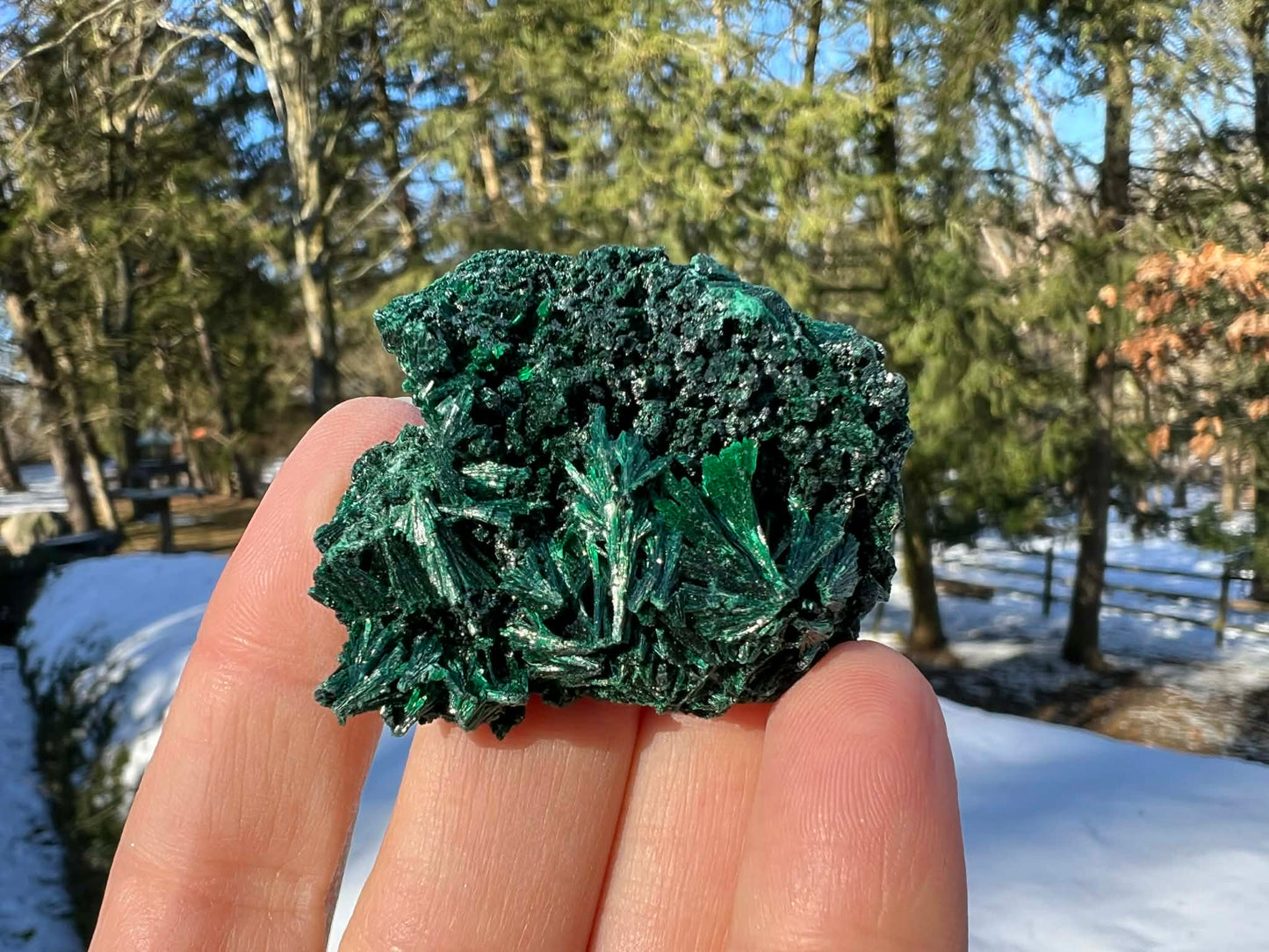 Silk Malachite Specimen #7 - Gem Realm 