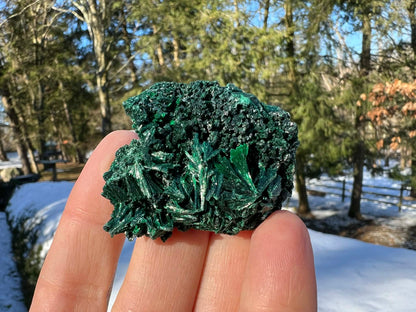 Silk Malachite Specimen #7 - Gem Realm 