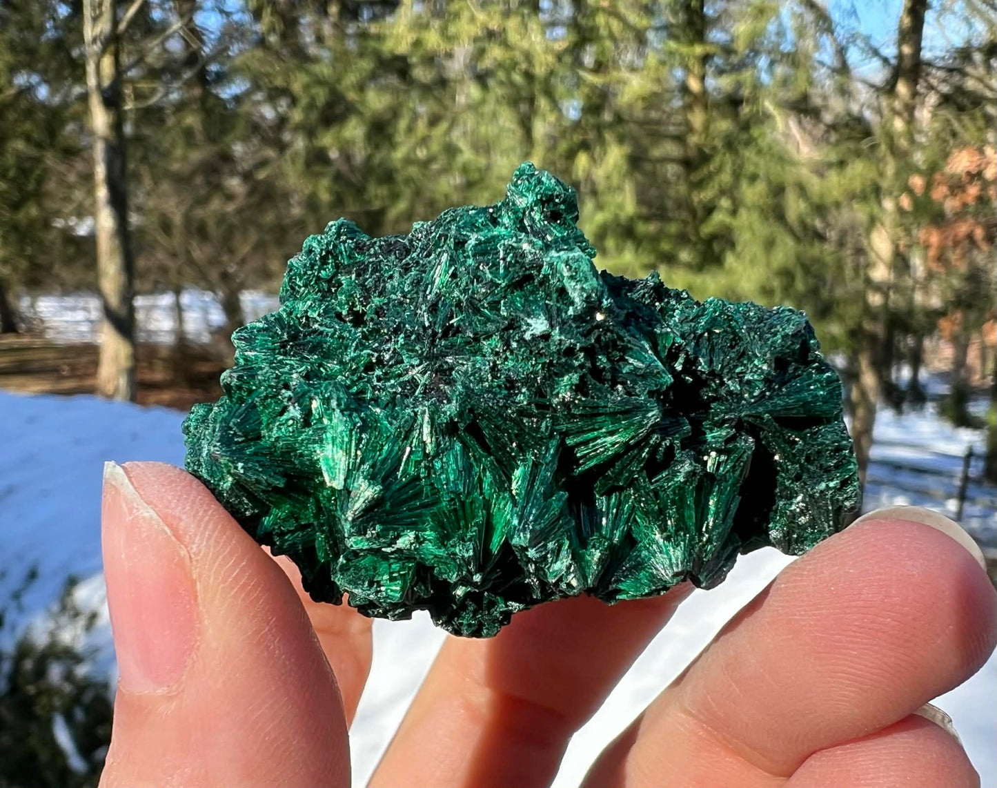 Silk Malachite Specimen #20 - Gem Realm 