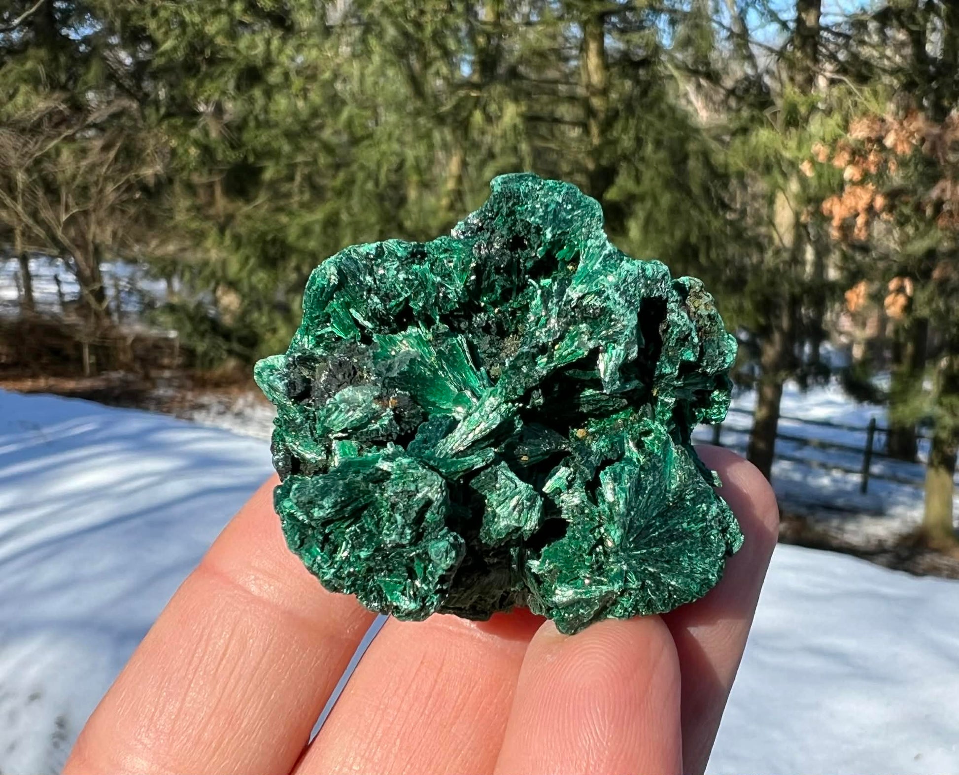 Silk Malachite Specimen #15 - Gem Realm 