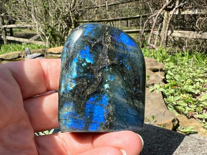 Labradorite Freeform - Gem Realm 