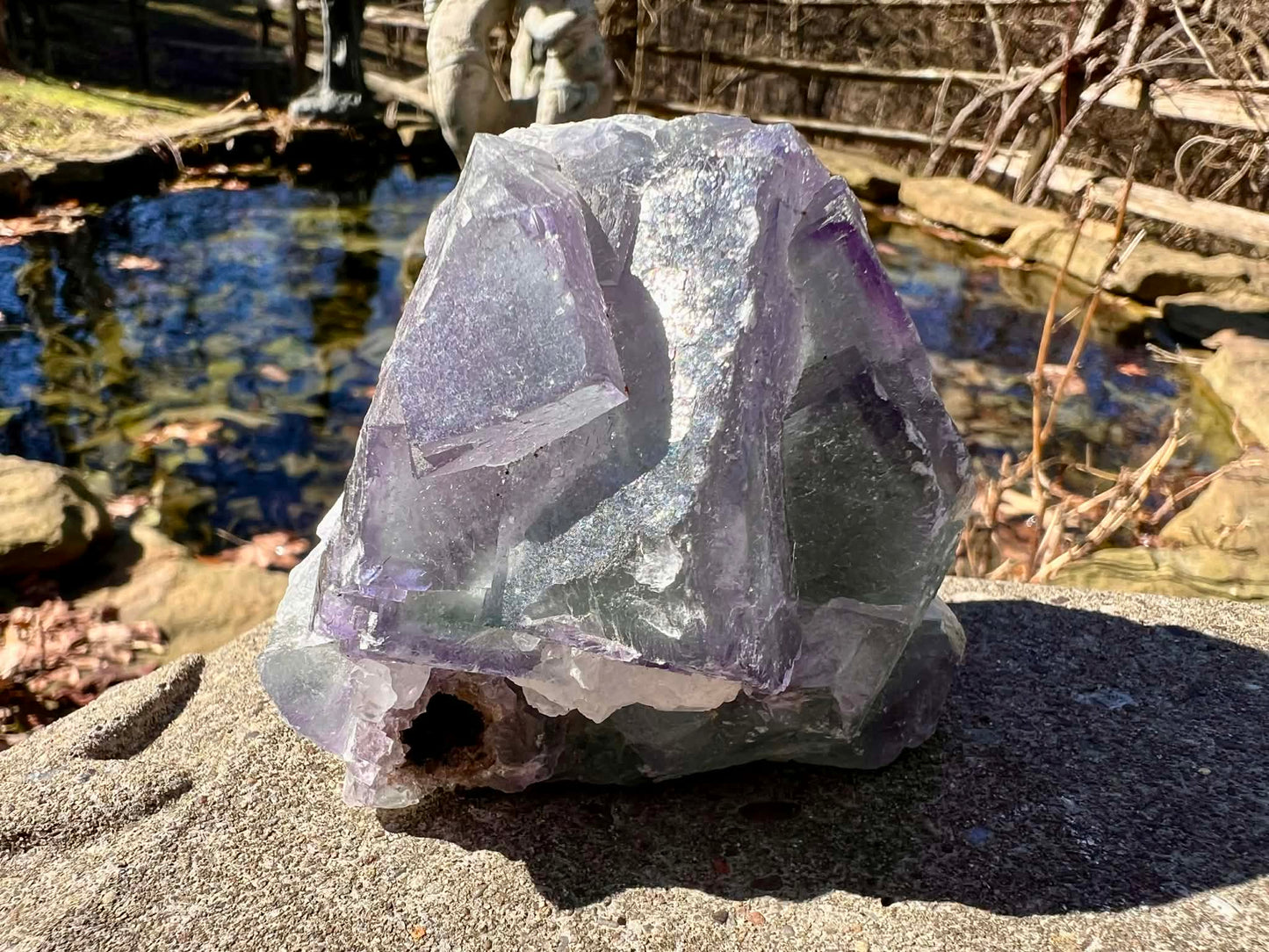 Rainbow Fluorite Specimen - Gem Realm 