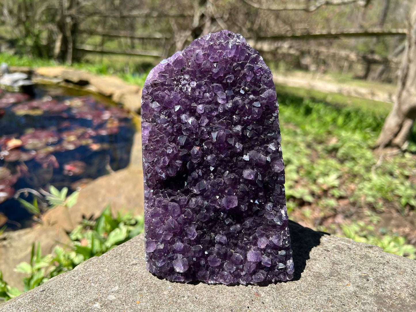 Amethyst Geode - Gem Realm 