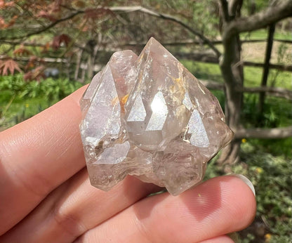 Smoky Elestial Quartz Specimen #12 - Gem Realm 