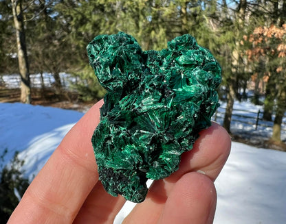 Silk Malachite Specimen #20 - Gem Realm 