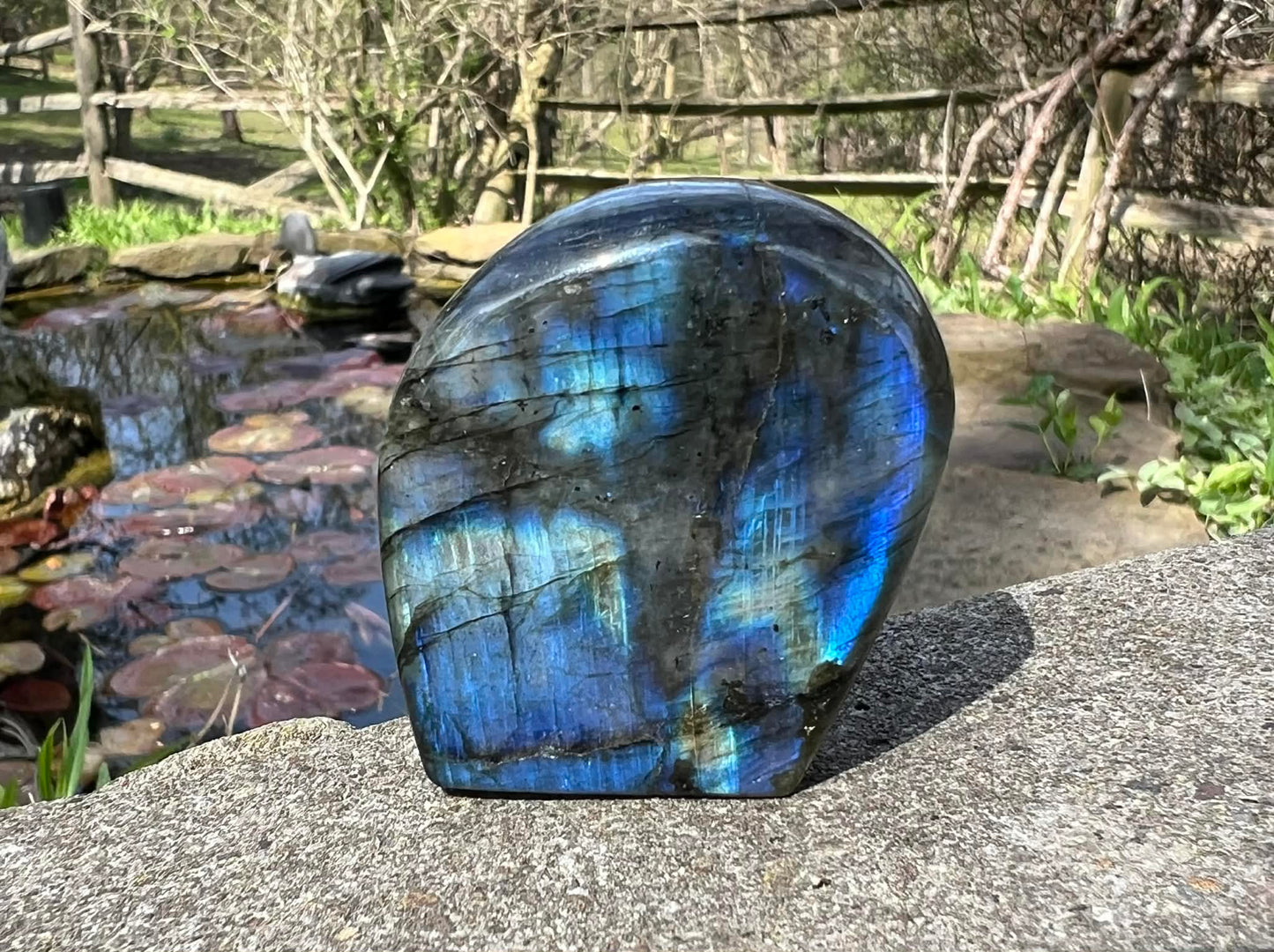 Labradorite Freeform - Mini - Gem Realm 