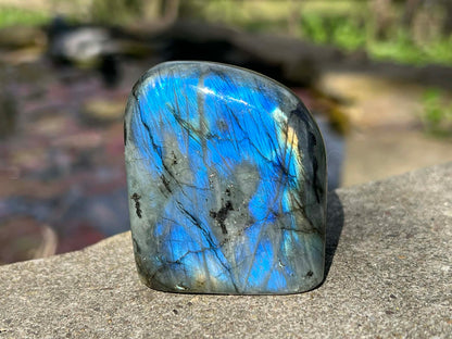Labradorite Freeform - Gem Realm 