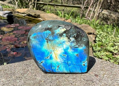 Labradorite Freeform - Mini - Gem Realm 