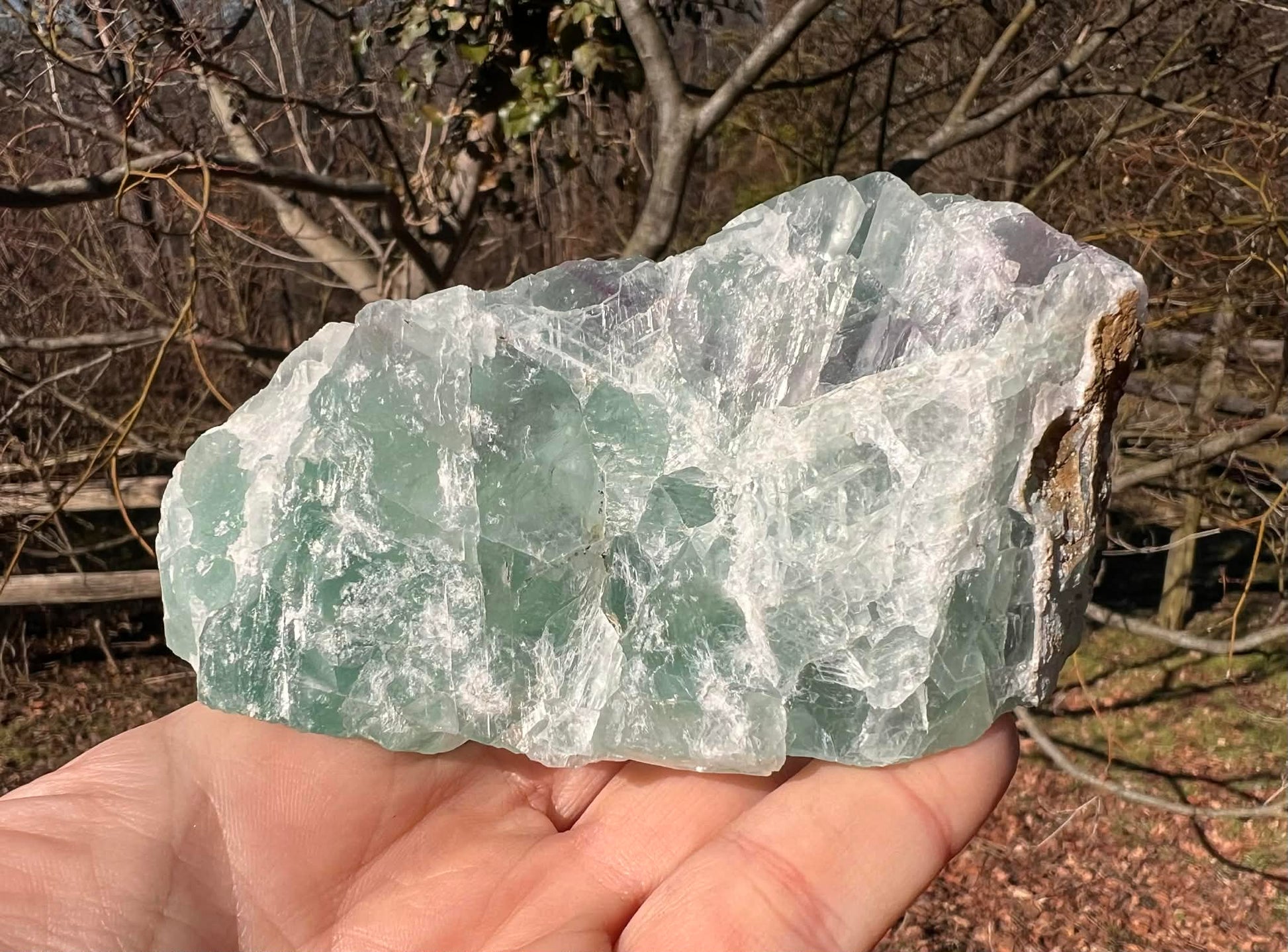 Green Fluorite Specimen - Gem Realm 