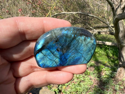 Labradorite Freeform - Mini - Gem Realm 