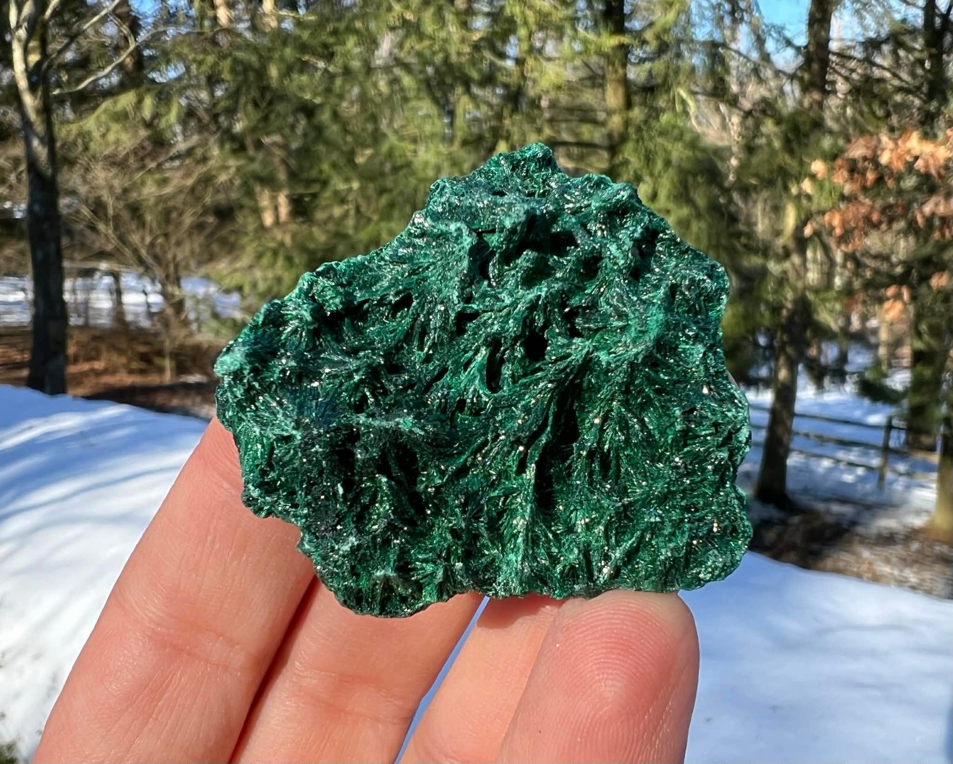 Silk Malachite Specimen #10 - Gem Realm 