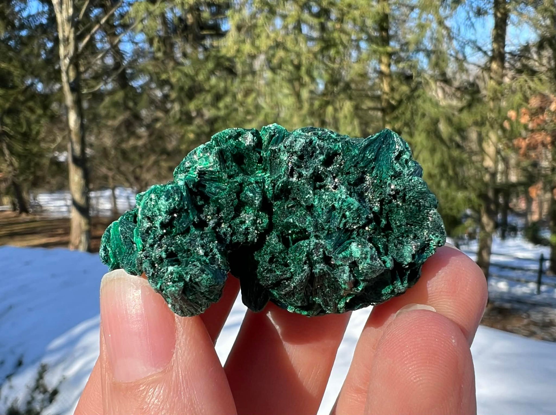 Silk Malachite Specimen #18 - Gem Realm 