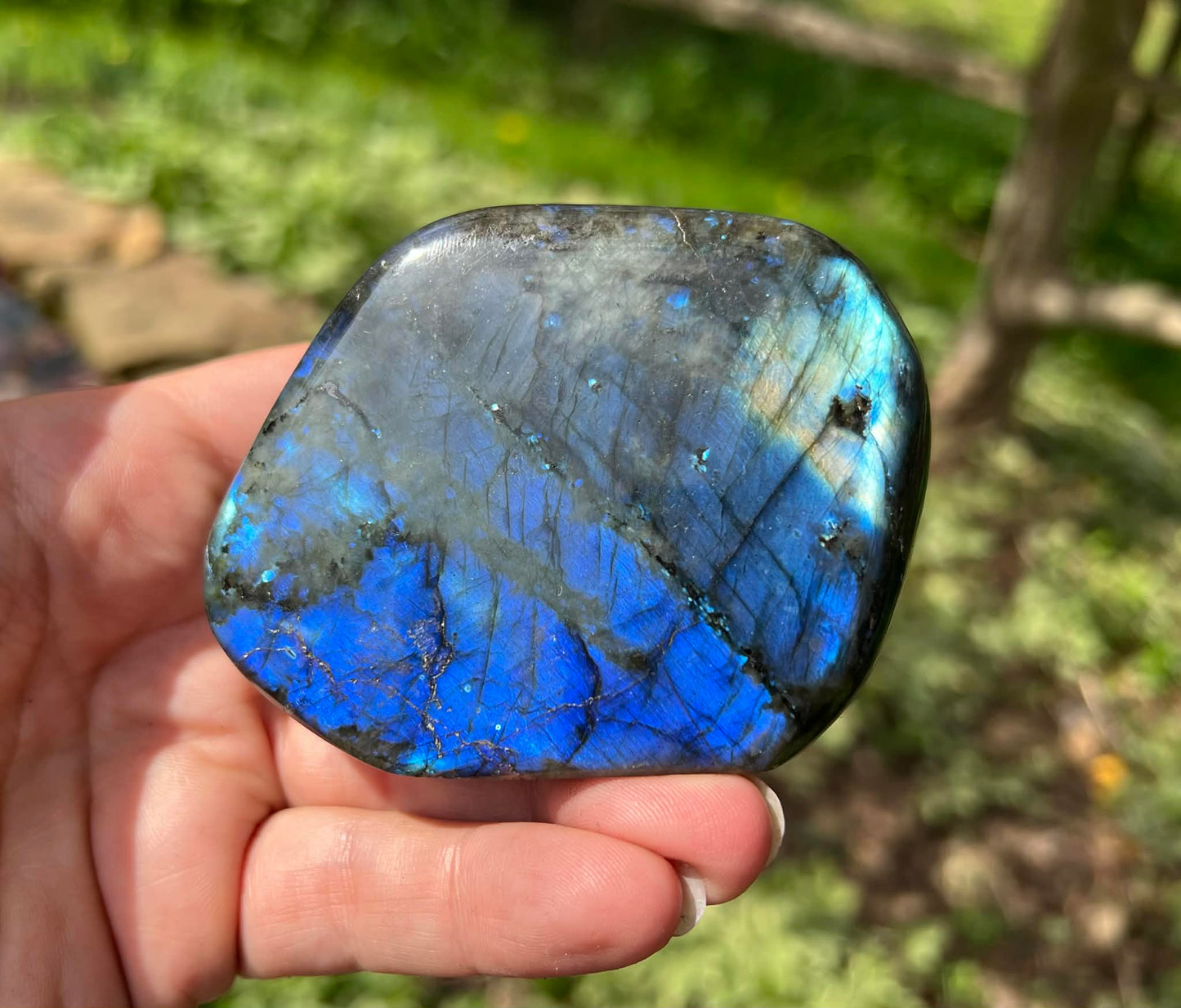 Labradorite Freeform - Gem Realm 