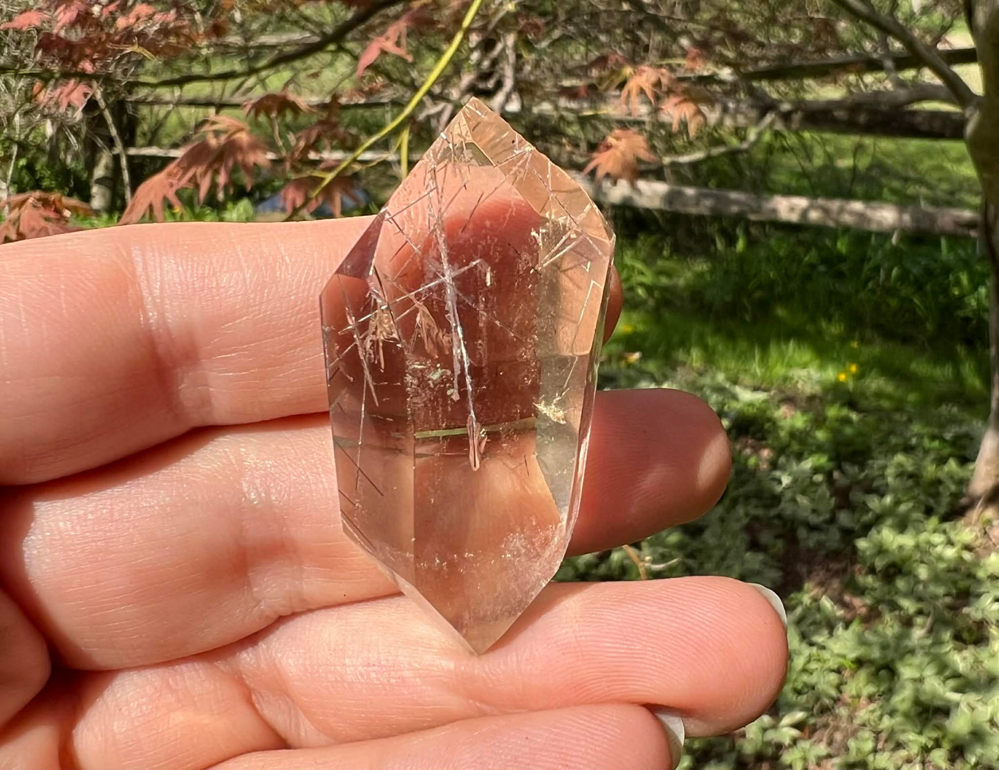 Citrine Double Terminated Polished Point ~ Rutilated - Gem Realm 