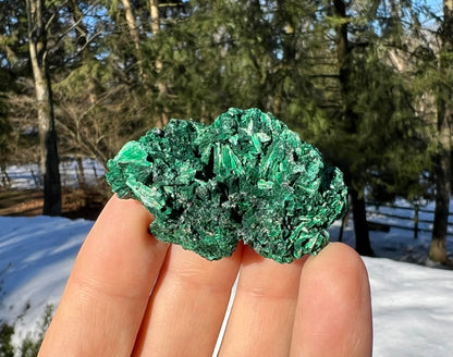 Silk Malachite Specimen #1