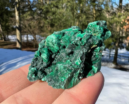 Silk Malachite Specimen #14 - Gem Realm 