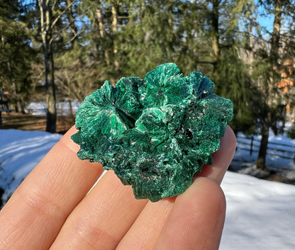 Silk Malachite Specimen #4