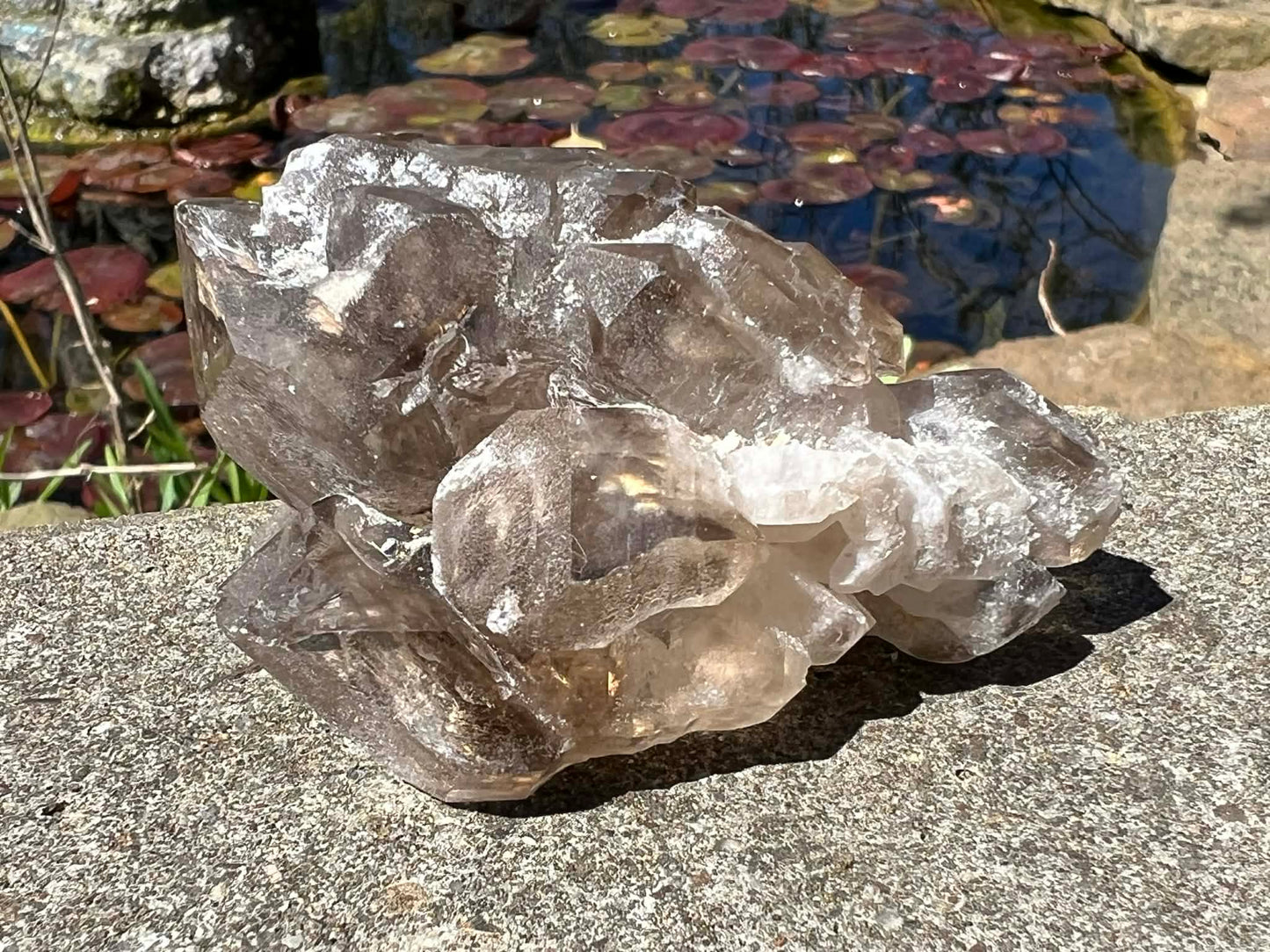 Smoky Elestial Quartz Specimen #9 - Gem Realm 